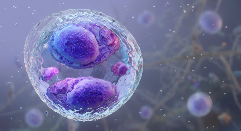 First Deaths from Cyclospora Reported 